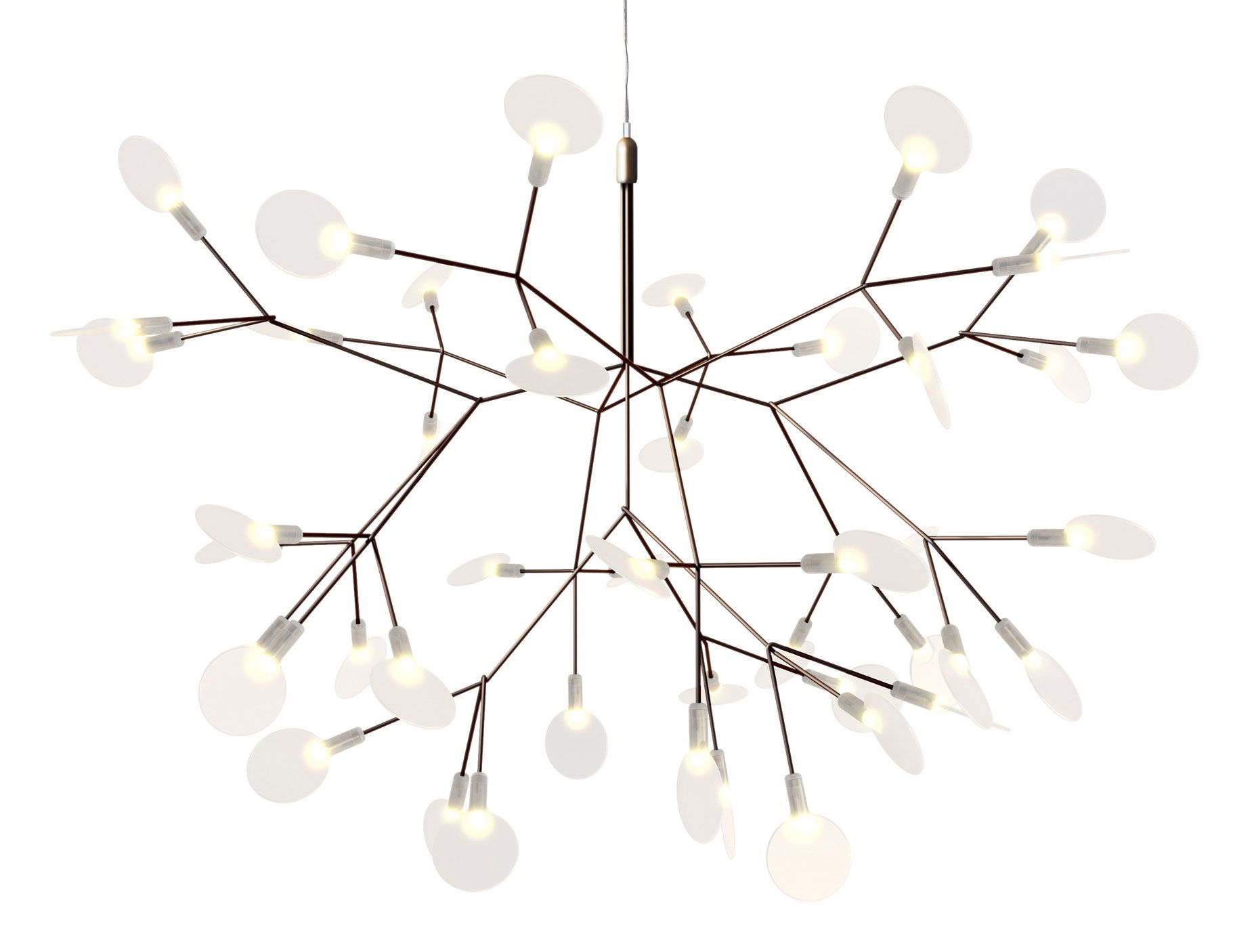 Heracleum chandelier deals